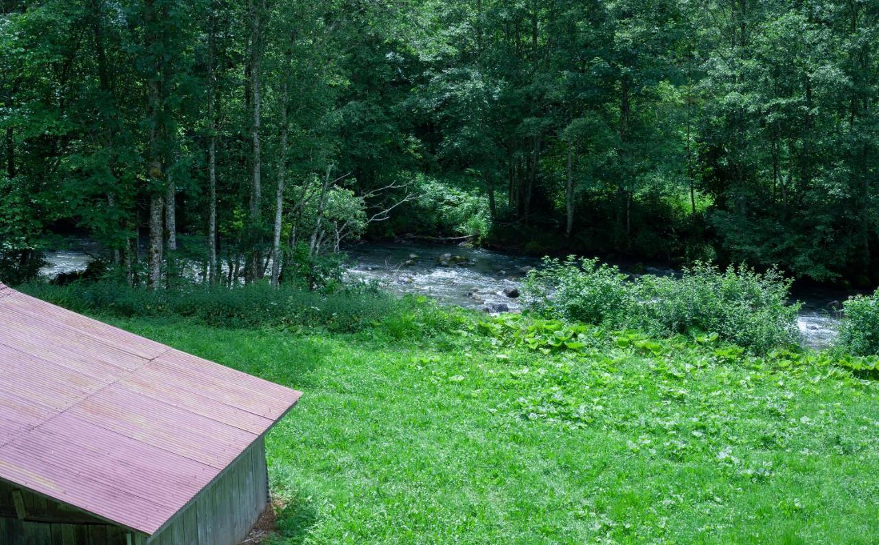 Grand Appartement Proche Gd Bornand Glieres-Val-de-Borne エクステリア 写真